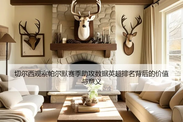 切尔西观察帕尔默赛季助攻数据英超排名背后的价值与意义