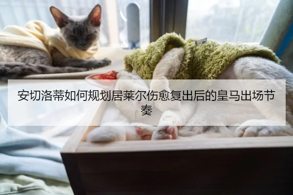 安切洛蒂如何规划居莱尔伤愈复出后的皇马出场节奏